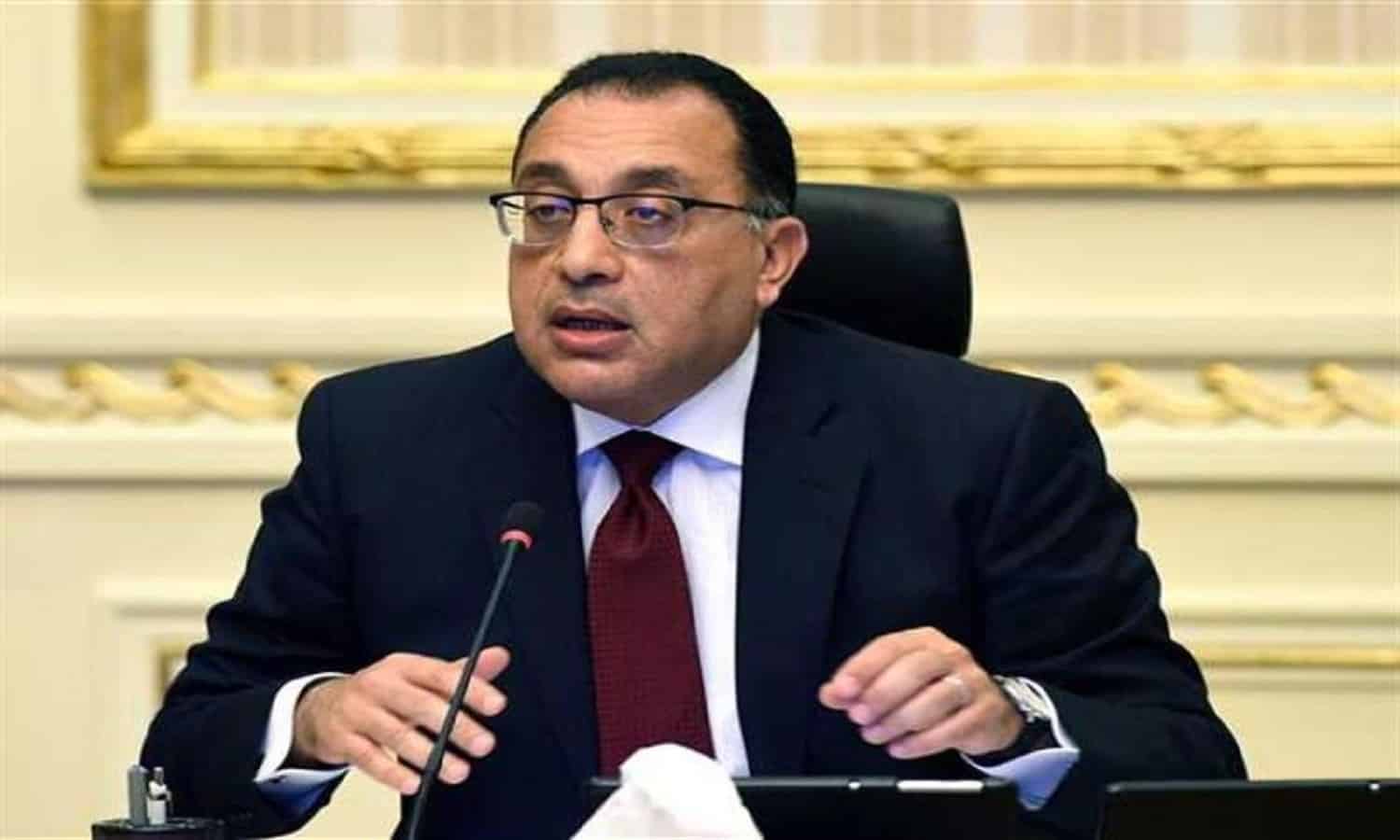 مجلس الوزراء المصري يوافق على إنشاء جامعة باديا الخاصة